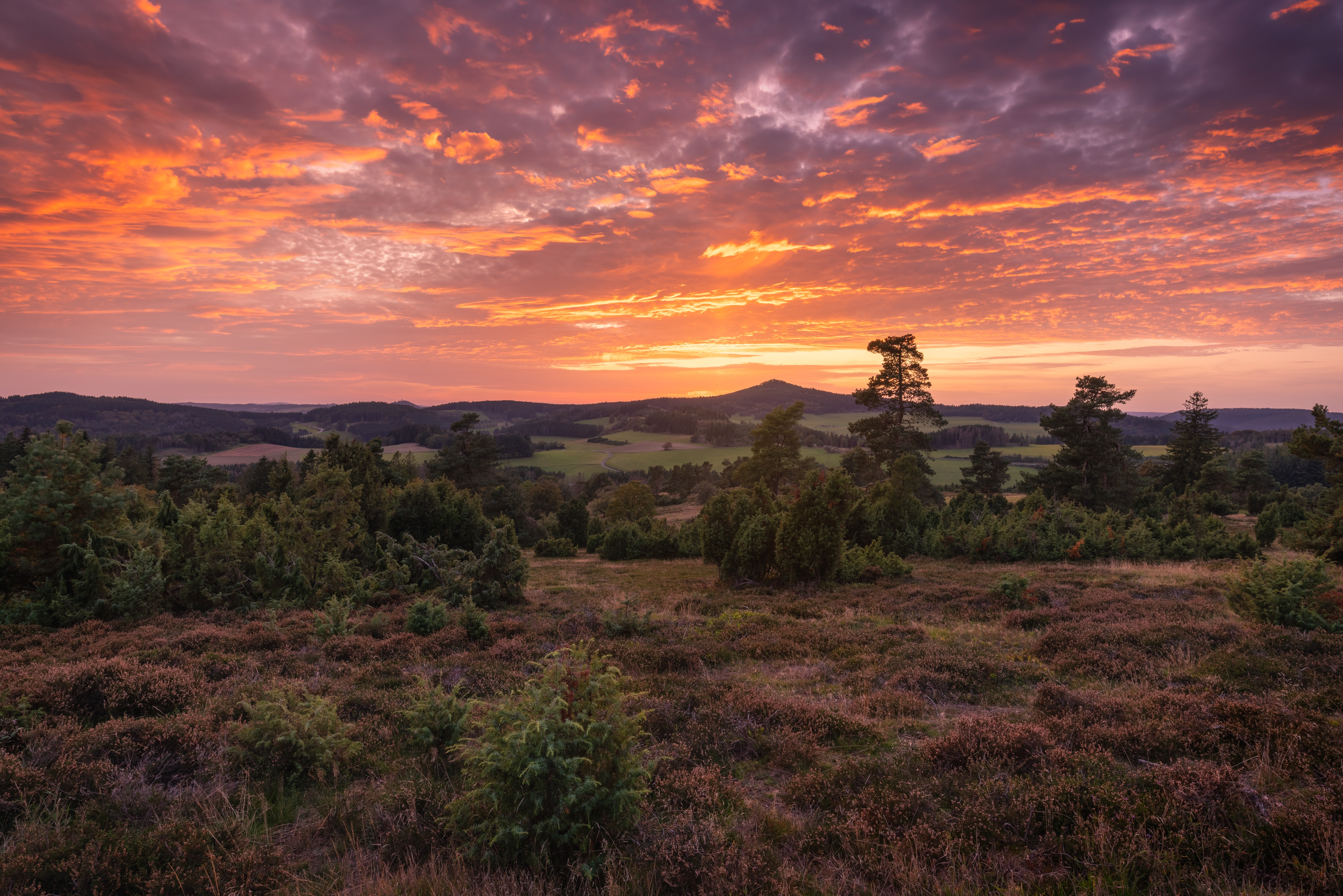 Eifel Hohe Acht Shutterstock 2574538651