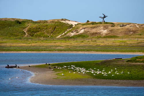 Vlaanderen 2 Vogels Het Zwin Shutterstock 1094188577